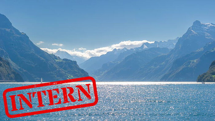 Intern Intern